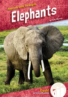 Éléphants - Elephants