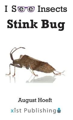 Punaise puante - Stink Bug