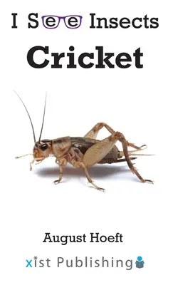 Grillon - Cricket