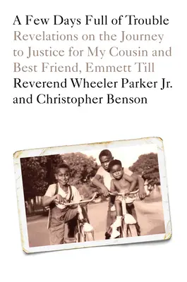 Quelques jours pleins d'ennuis : Révélations sur le chemin de la justice pour mon cousin et meilleur ami, Emmett Till - A Few Days Full of Trouble: Revelations on the Journey to Justice for My Cousin and Best Friend, Emmett Till