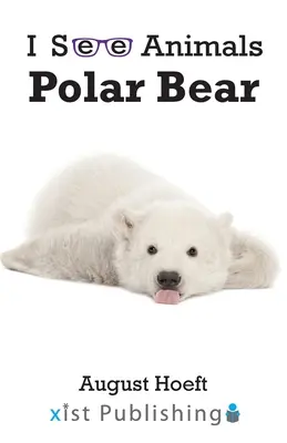 Ours polaire - Polar Bear