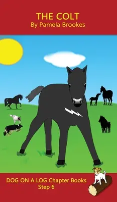The Colt Chapter Book : Le livre de chapitre du Colt : des livres de phonétique qui aident les lecteurs en développement, y compris les élèves atteints de dyslexie, à apprendre à lire (étape 6 d'un système de lecture). - The Colt Chapter Book: Sound-Out Phonics Books Help Developing Readers, including Students with Dyslexia, Learn to Read (Step 6 in a Systemat