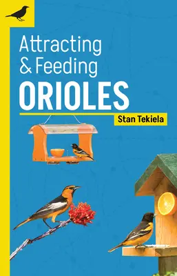 Attirer et nourrir les loriots - Attracting & Feeding Orioles