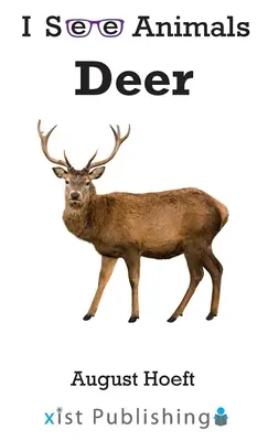 Cerf - Deer