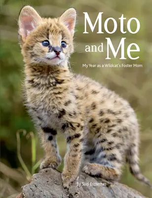 Moto et moi : Mon année en tant que mère adoptive d'un chat sauvage - Moto and Me: My Year as a Wildcat's Foster Mom