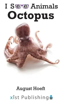 Pieuvre - Octopus