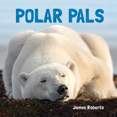 Les copains du polar - Polar Pals