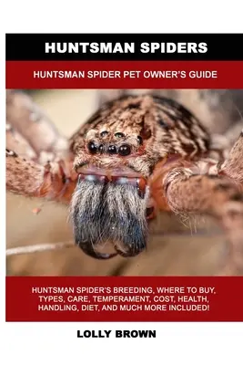 Les araignées Huntsman : Guide du propriétaire de l'araignée Huntsman - Huntsman Spiders: Huntsman Spider Pet Owner's Guide