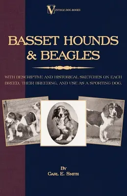 Basset Hounds et Beagles : Avec des croquis descriptifs et historiques sur chaque race, leur élevage et leur utilisation comme chien de sport - Basset Hounds & Beagles: With Descriptive and Historical Sketches on Each Breed, Their Breeding, and Use as a Sporting Dog