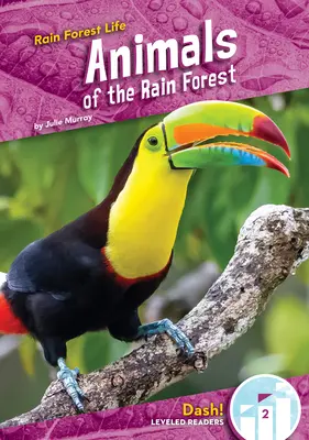 Animaux de la forêt tropicale - Animals of the Rain Forest