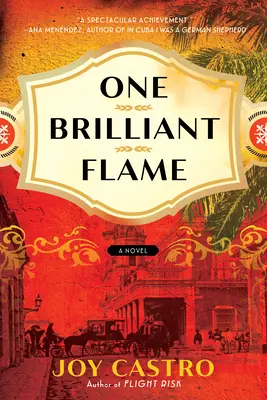 Une flamme brillante - One Brilliant Flame