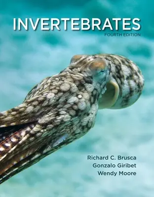 Invertébrés - Invertebrates