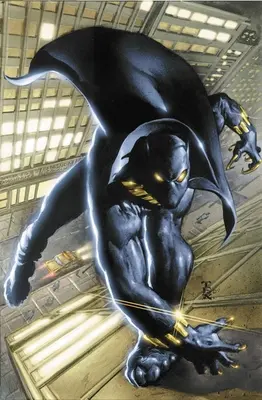 Black Panther par Christopher Priest Omnibus Vol. 1 - Black Panther by Christopher Priest Omnibus Vol. 1