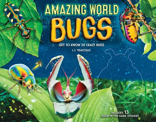 Un monde étonnant : Bugs : Apprenez à connaître 20 insectes bizarres - Amazing World: Bugs: Get to Know 20 Crazy Bugs