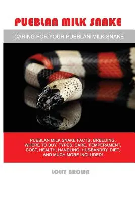 La couleuvre de lait de Pueblan : La couleuvre de lait de Pueblan : faits, élevage, où acheter, types, soins, tempérament, coût, santé, manipulation, élevage, régime, a - Pueblan Milk Snake: Pueblan Milk Snake facts, breeding, where to buy, types, care, temperament, cost, health, handling, husbandry, diet, a