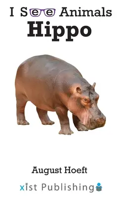 Hippopotame - Hippo