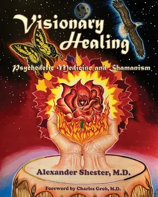 GUÉRISON VISIONNAIRE Médecine psychédélique et chamanisme - VISIONARY HEALING Psychedelic Medicine and Shamanism