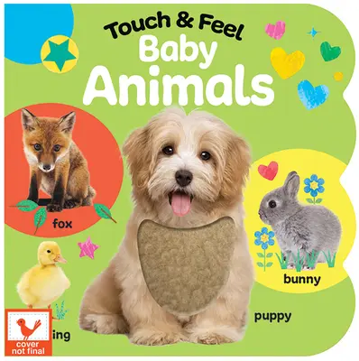 Bébés animaux à toucher et à sentir - Touch & Feel Baby Animals