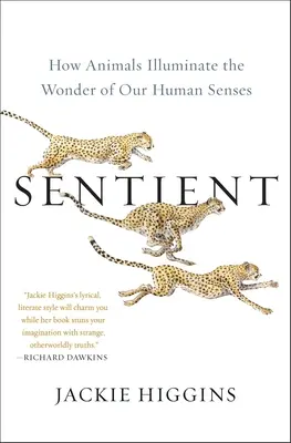 Sentient : Comment les animaux éclairent la merveille de nos sens humains - Sentient: How Animals Illuminate the Wonder of Our Human Senses