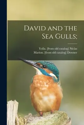David et les mouettes ; - David and the Sea Gulls;