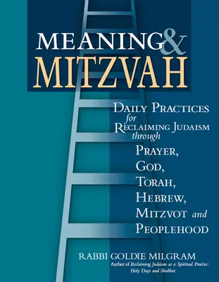Sens et Mitzvah : Pratiques quotidiennes pour se réapproprier le judaïsme par la prière, Dieu, la Torah, l'hébreu, les mitzvot et l'appartenance à un peuple - Meaning & Mitzvah: Daily Practices for Reclaiming Judaism Through Prayer, God, Torah, Hebrew, Mitzvot and Peoplehood