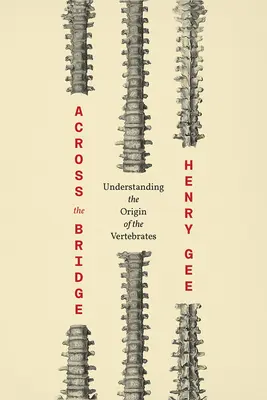 De l'autre côté du pont : Comprendre l'origine des vertébrés - Across the Bridge: Understanding the Origin of the Vertebrates