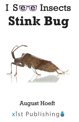 Punaise puante - Stink Bug