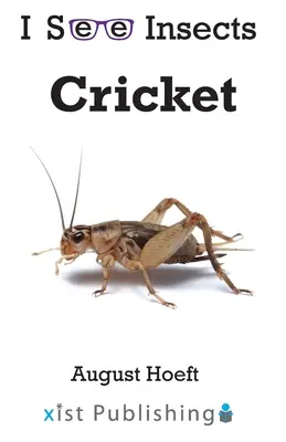 Grillon - Cricket