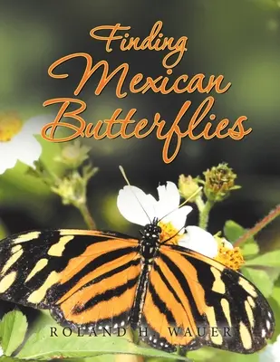 À la recherche des papillons mexicains - Finding Mexican Butterflies