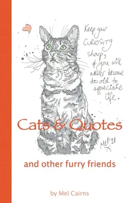 Chats, citations et autres amis à fourrure - Cats & Quotes & Other Furry Friends