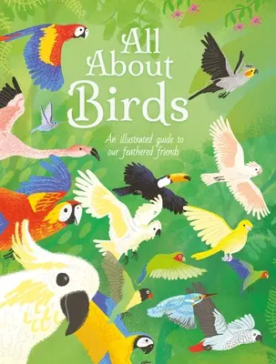 Tout sur les oiseaux : Un guide illustré de nos amis à plumes - All about Birds: An Illustrated Guide to Our Feathered Friends