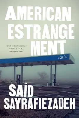 L'étranglement américain : Histoires - American Estrangement: Stories