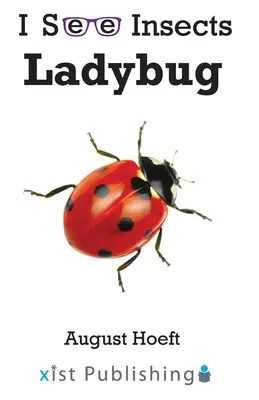 Coccinelle - Ladybug