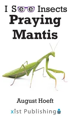 Mante religieuse - Praying Mantis