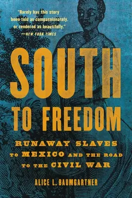 Du sud à la liberté : Les esclaves en fuite vers le Mexique et la route vers la guerre civile - South to Freedom: Runaway Slaves to Mexico and the Road to the Civil War