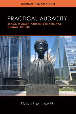 Audace pratique : Les femmes noires et les droits de l'homme internationaux - Practical Audacity: Black Women and International Human Rights