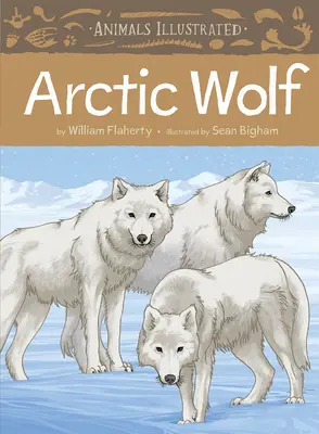 Animaux illustrés : Le loup arctique - Animals Illustrated: Arctic Wolf