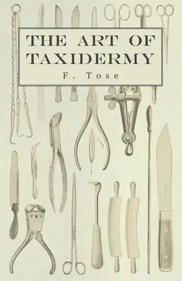 L'art de la taxidermie - The Art of Taxidermy