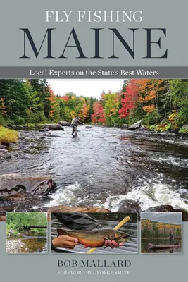 La pêche à la mouche dans le Maine : Les experts locaux sur les meilleures eaux de l'État - Fly Fishing Maine: Local Experts on the State's Best Waters