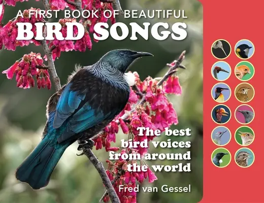 Un livre de beaux chants d'oiseaux : Les meilleures voix d'oiseaux du monde entier - A Book of Beautiful Bird Songs: The Best Bird Voices from Around the World