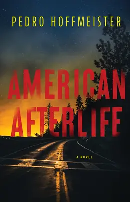 L'après-vie américaine - American Afterlife