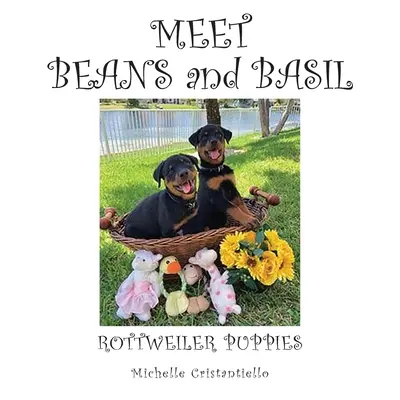 Rencontre avec les haricots et le basilic - Meet Beans and Basil