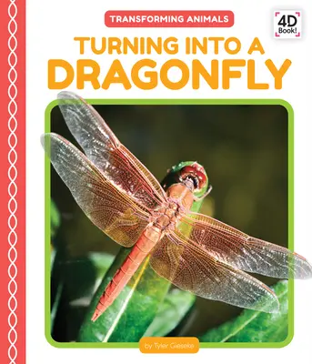 Se transformer en libellule - Turning Into a Dragonfly