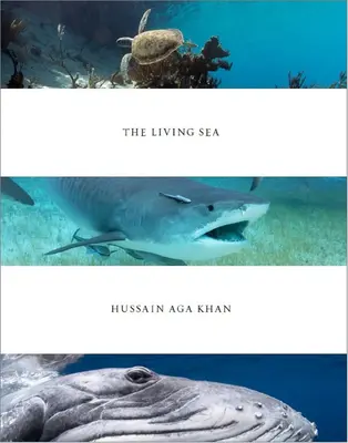 Hussain Aga Khan : La mer vivante - Hussain Aga Khan: The Living Sea