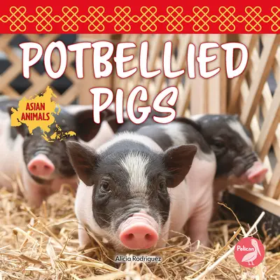 Cochons ventrus - Potbellied Pigs