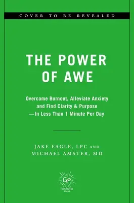 Le pouvoir de l'émerveillement : Surmonter l'épuisement professionnel et l'anxiété, soulager la douleur chronique, trouver la clarté et la raison d'être en moins d'une minute par jour. - The Power of Awe: Overcome Burnout & Anxiety, Ease Chronic Pain, Find Clarity & Purpose--In Less Than 1 Minute Per Day