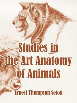 Études sur l'anatomie artistique des animaux - Studies in the Art Anatomy of Animals