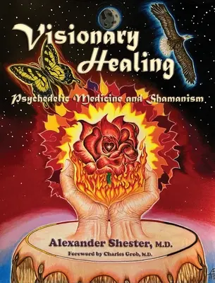 GUÉRISON VISIONNAIRE Médecine psychédélique et chamanisme - VISIONARY HEALING Psychedelic Medicine and Shamanism