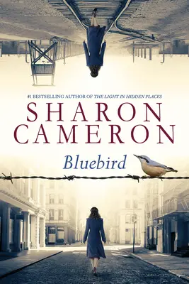 L'oiseau bleu - Bluebird