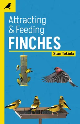 Attirer et nourrir les pinsons - Attracting & Feeding Finches